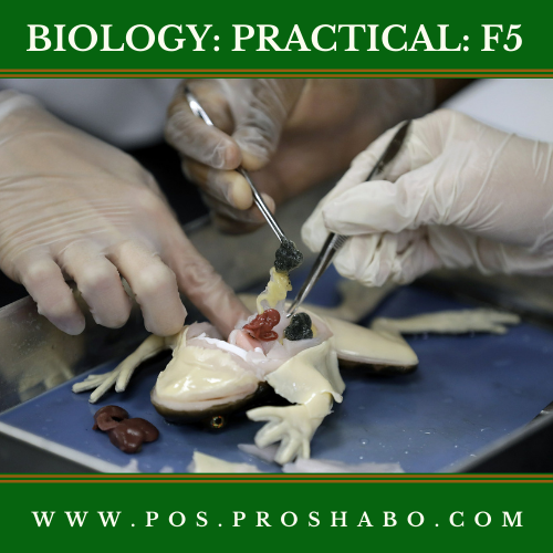 CODE 503 B: BIOLOGY PRACTICAL: FORM 5