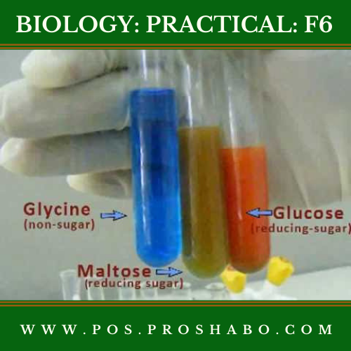 CODE 603 B: BIOLOGY PRACTICAL: FORM 6